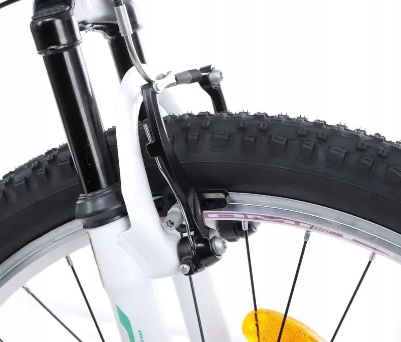 Mountainbike MTB Fahrrad