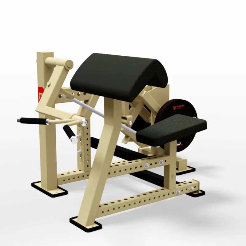 Biceps Curl