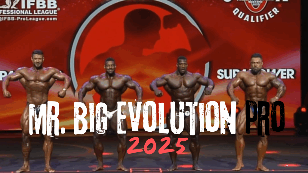 Mr. Big Evolution 2025